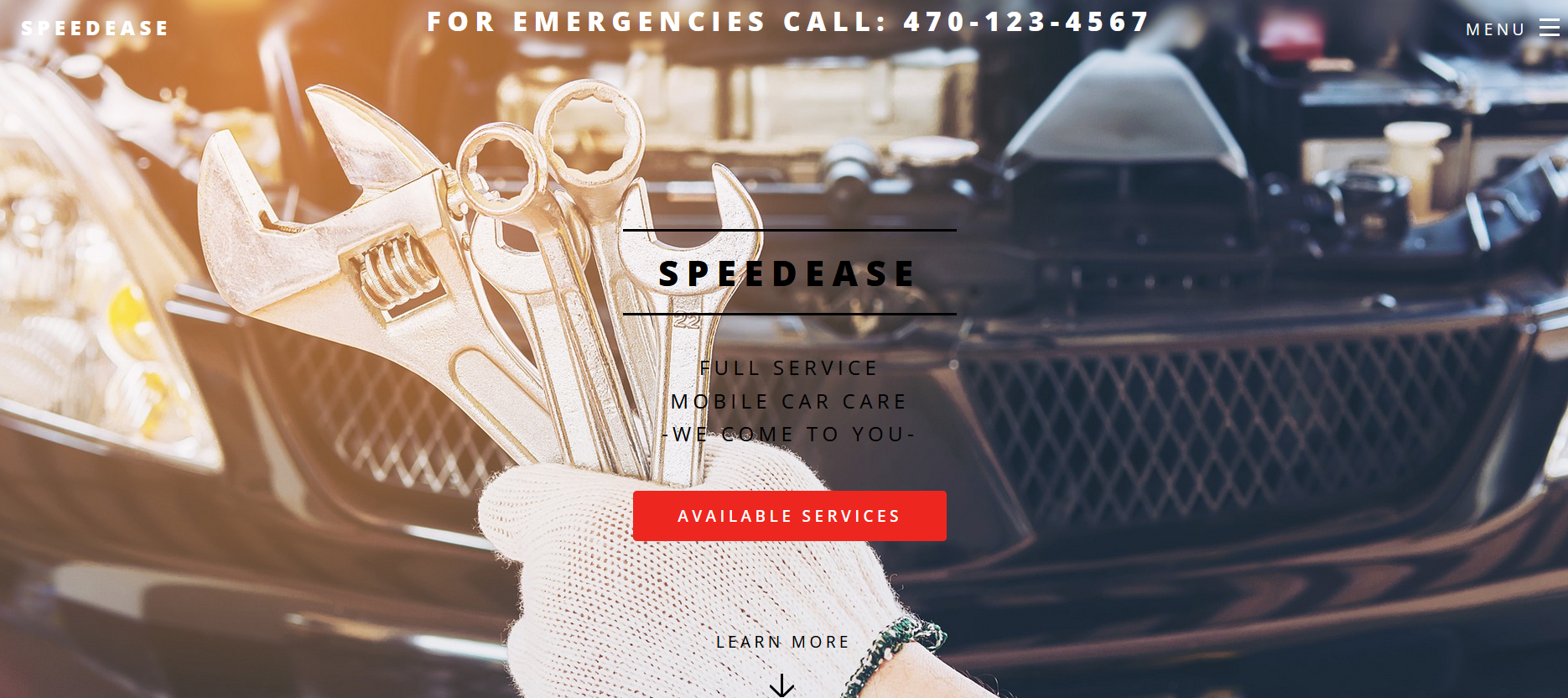 Speedease Car Care Sample Site